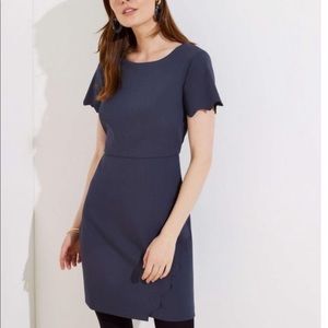 Gray LOFT Wrap Scalloped Sheath Dress